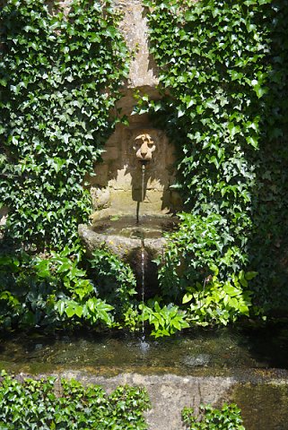2018-06-02-Hidcote-Manor-NT-0004.jpg