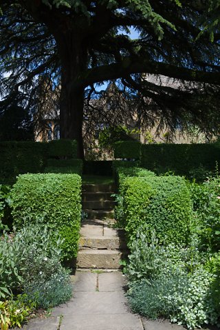 2018-06-02-Hidcote-Manor-NT-0011.jpg