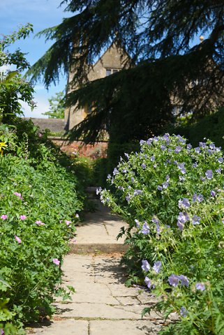 2018-06-02-Hidcote-Manor-NT-0012.jpg