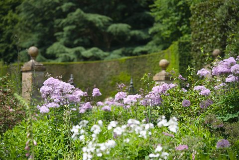 2018-06-02-Hidcote-Manor-NT-0013.jpg