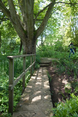 2018-06-02-Hidcote-Manor-NT-0027.jpg