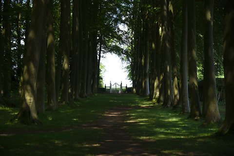 2018-06-02-Hidcote-Manor-NT-0037.jpg