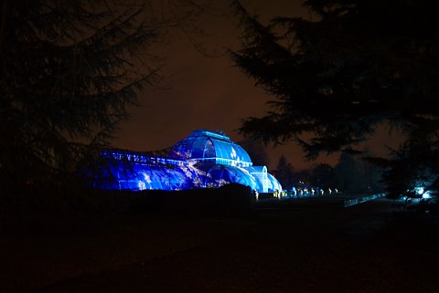 2018-12-02-Kew-Gardens-Christmas-Lights-0013.jpg