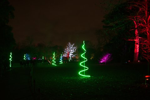 2018-12-02-Kew-Gardens-Christmas-Lights-0017.jpg