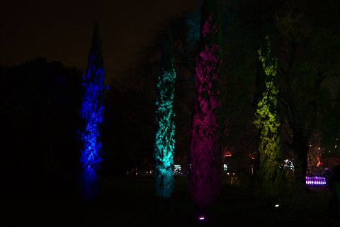 2018-12-02-Kew-Gardens-Christmas-Lights-0027.jpg