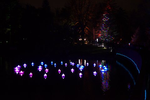 2018-12-02-Kew-Gardens-Christmas-Lights-0036.jpg
