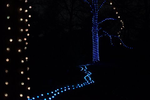 2018-12-02-Kew-Gardens-Christmas-Lights-0040.jpg