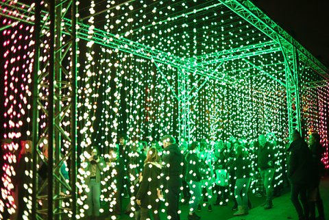 2018-12-02-Kew-Gardens-Christmas-Lights-0051.jpg