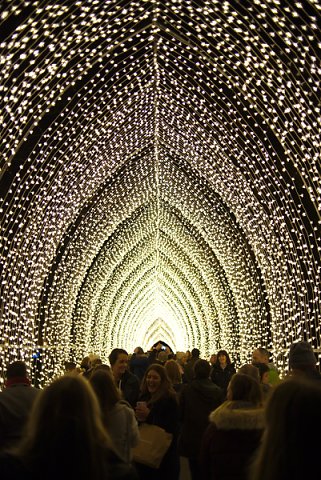 2018-12-02-Kew-Gardens-Christmas-Lights-0055.jpg