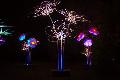 2018-12-02-Kew-Gardens-Christmas-Lights-0060.jpg