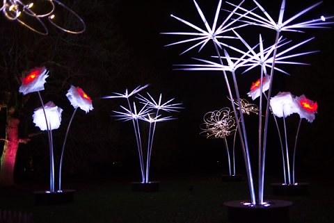 2018-12-02-Kew-Gardens-Christmas-Lights-0061.jpg