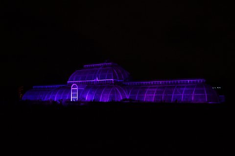 2018-12-02-Kew-Gardens-Christmas-Lights-0066.jpg