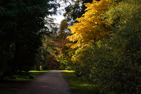 2019-10-16-Westonbirt-Arboretum-06.jpg