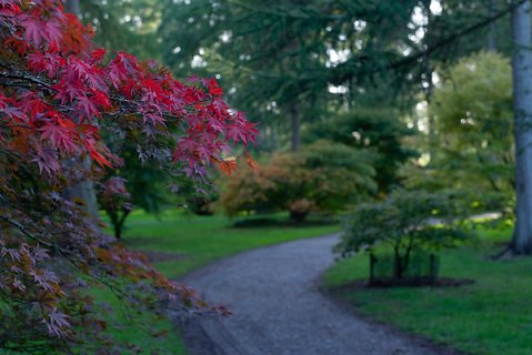 2019-10-16-Westonbirt-Arboretum-20.jpg