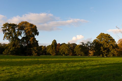 2019-10-16-Westonbirt-Arboretum-27.jpg