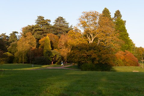 2019-10-16-Westonbirt-Arboretum-28.jpg