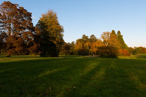 2019-10-16-Westonbirt-Arboretum-29.jpg