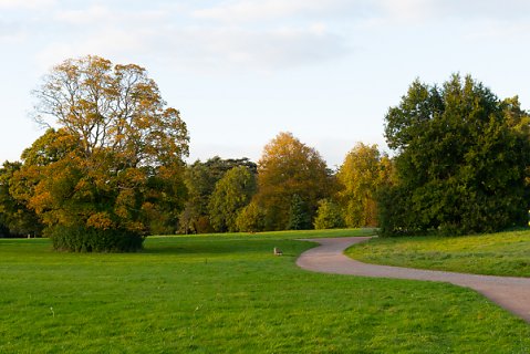 2019-10-16-Westonbirt-Arboretum-30.jpg