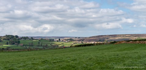 20190429-DSC0339-HDR.jpg