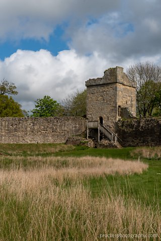 20190502-DSC2530-HDR.jpg