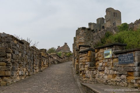 20190501-DSC2086-HDR.jpg