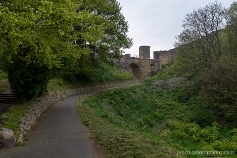 20190501-DSC2095-HDR.jpg